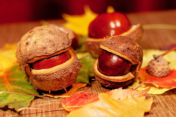 Chestnuts on leaves — Stock Photo, Image