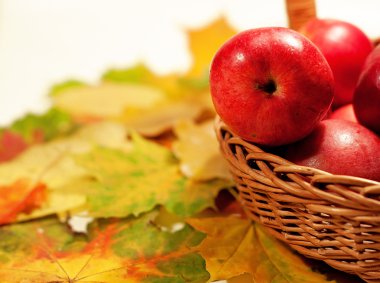 Sepette kırmızı elmalar