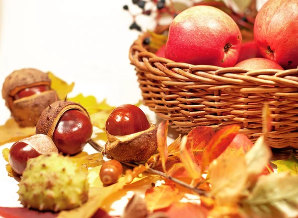 Red apples in a basket and autumn leaves — Stock Photo, Image