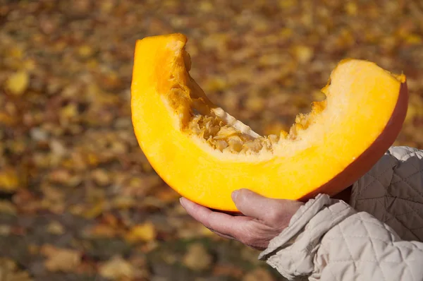 Part of the pumpkin in the hands — Stock Photo, Image