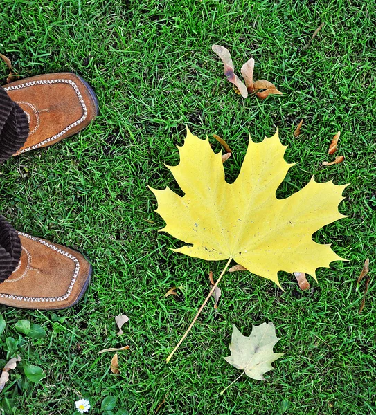 Autumn shoes — Stock Photo, Image