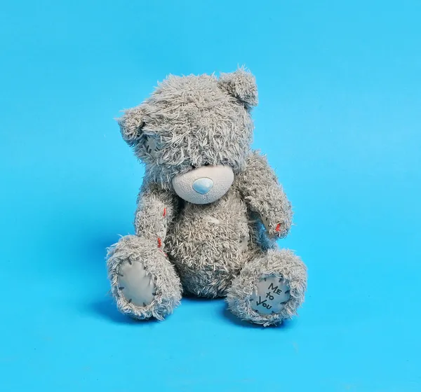 Urso cinzento — Fotografia de Stock