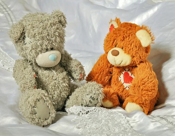 Grey and brow bears in the bedroom — Stock Photo, Image