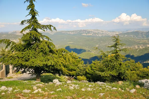 Schöne Berge — Stockfoto