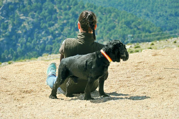 Menina e cão nas montanhas — Fotografia de Stock