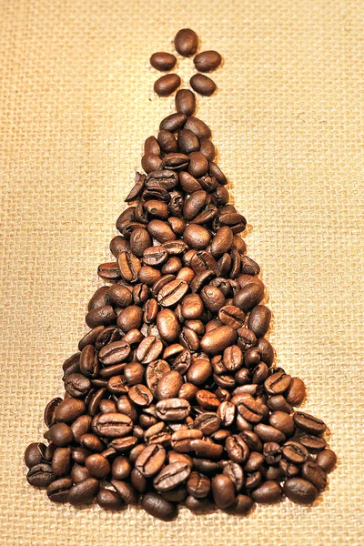 Noel ağacı kahve hazır