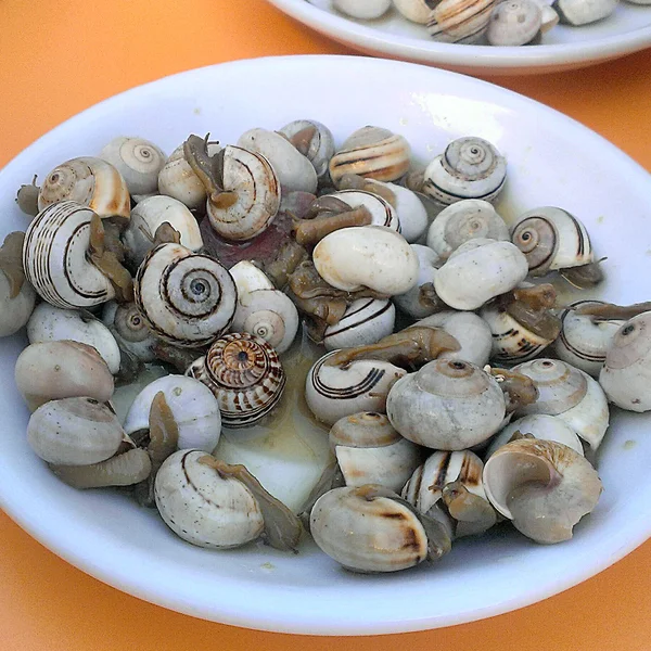 典型的西班牙菜-蜗牛 — 图库照片