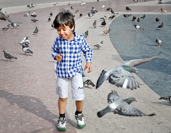 Niño jugando en la plaza con palomas — Foto de Stock