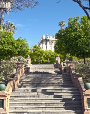 Jeremy de la frontera