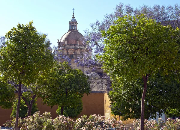 Katedralen san salvador staden jerez de la frontera i Spanien, en — Stockfoto