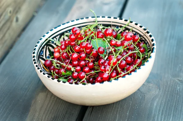 Färska röda vinbär i en kopp — Stockfoto