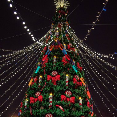 Noel ışıklarıyla süslenmiş güzel bir Noel ağacı. İyi akşamlar.