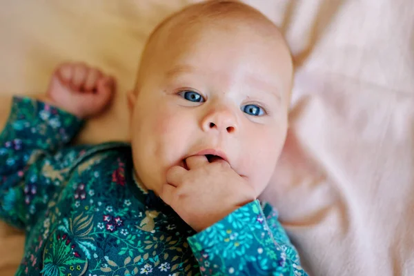 Bambino Tre Mesi Sdraiato Sul Letto Succhiare Sua Penna — Foto Stock