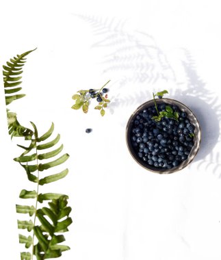 Beyaz arka planda küçük bir balçık bardağında yabanmersini. Taze koparılmış böğürtlen ve eğrelti otunun gölgesi