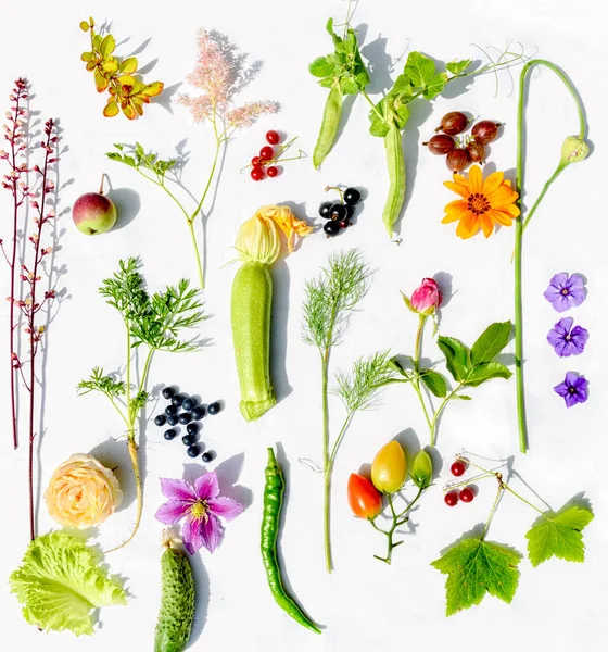 白を基調とした庭の野菜や果実 花々の背景 — ストック写真