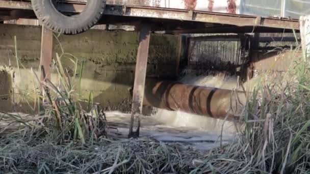 Odpływy Miejskie Brudna Woda Powoli Spływają Rzeki Przepływ Ścieków Kanalizacji — Wideo stockowe
