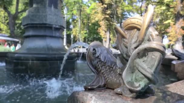 Une Fontaine Éclaboussant Bouche Poisson Fontaine Forme Poisson Poisson Crache — Video