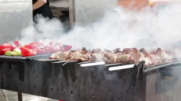 Közelkép Sült Shish Kebab Egy Nyárson Grillezett Zöldségek Egy Nagy — Stock videók