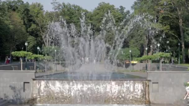 Springbrunnen Schewtschenko Park Charkow Öffentlicher Hochbrunnen Stadtzentrum Wasser Plätschert Einem — Stockvideo