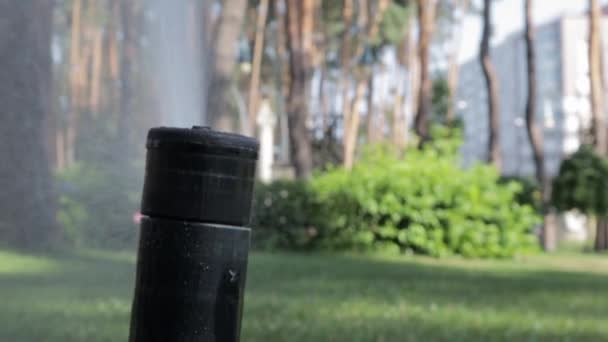 Sprinklerkop Besproeit Het Gazon Met Groen Gras Tuinieren Concept Slimme — Stockvideo