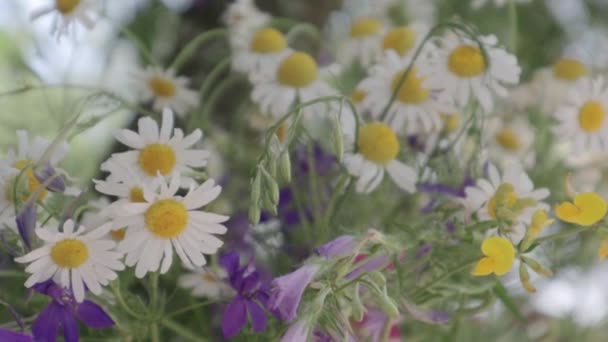 Widok Mieszanego Bukietu Dzikich Kwiatów Drewnianym Stole Ogrodzie Letni Lub — Wideo stockowe