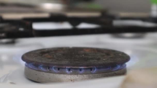 Gas Burner Kitchen Stove Cooking Burning Propane Fire Natural Gas — Stock Video