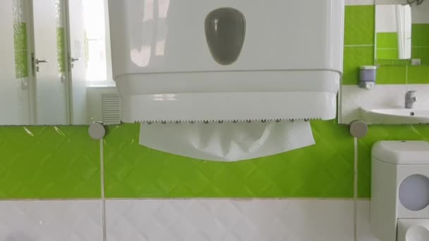 Duvardaki Kağıt Havluların Dağıtıcısı Umumi Bir Tuvalette Beyaz Mendiller Beyaz — Stok video