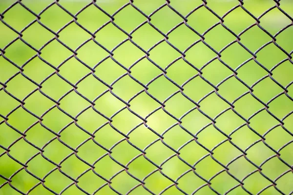 Mesh Cage Garden Green Grass Background Metal Fence Wire Mesh — Stock Photo, Image