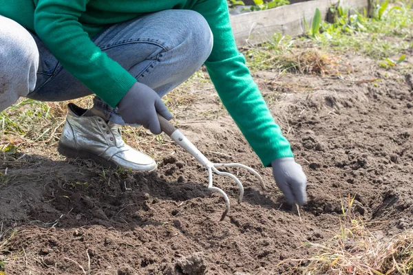 A woman cleans the weeds in the garden. Spring cleaning on the farm. Selective focus. Weeding grass. View of a woman\'s hand hoeing weeds in the garden on a hot summer day, soil preparation