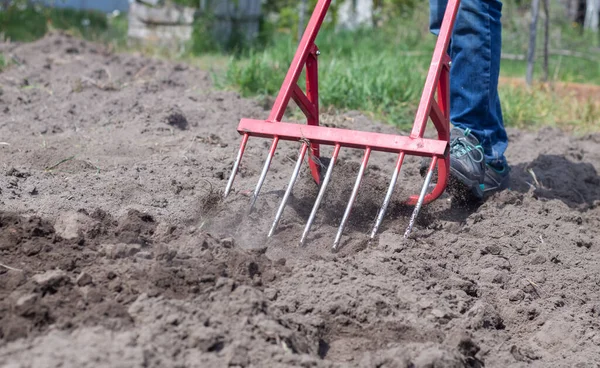 Farmer Jeans Digs Ground Red Fork Shaped Shovel Miracle Shovel — Stock Photo, Image