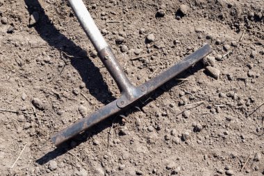 Yatakta bir tırmığın fotoğrafı. Bahçedeki eski metal tırmık. Bahar temizliği. İlkbaharda tırmıkla ekmek için toprak oluşumu, bahçe aleti ile çalışmak. Toprak ekme hazırlığı