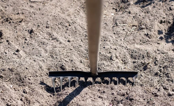 Photo Garden Rake Bed Old Metal Rake Garden Spring Cleaning — Stock Photo, Image