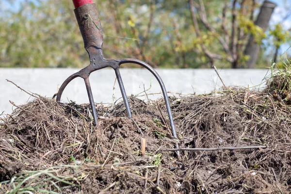 Garfo Com Alça Vermelha Para Compostagem Reciclagem Relvado Resíduos Jardim — Fotografia de Stock