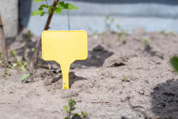 Yellow Plastic Garden Marker Indicating Plant Garden Label Garden Marking — Stock Photo, Image
