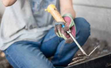 Bahçıvan ekim için toprağı tırmıklıyor. Bahçede çalışmak için. Eldivenli kadın elleri bir bahçe aletini tutuyor ve toprağı gevşetiyor, bahçe bitkileriyle ilgileniyor ve yetiştiriyor. Bahçeye bir bitki dikin.