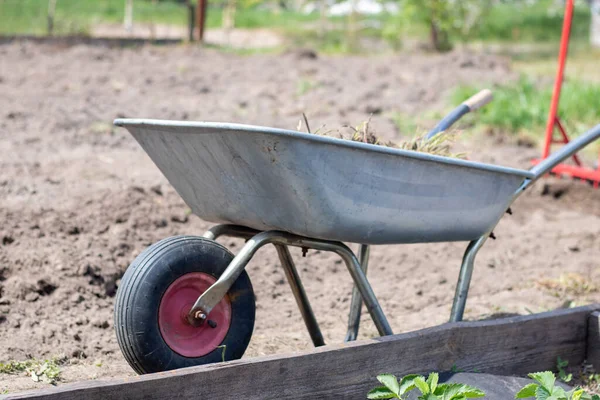 Garden wheelbarrow filled with earth or compost at the farm. Seasonal garden cleaning before autumn. On the street. Garden metal unicycle wheelbarrow full of weeds and branches