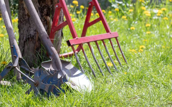 Gardening tools. Garden tools on the background of a garden in green grass. Summer work tool. Shovel, fork and baking powder stacked in the garden outside. The concept of gardening tools