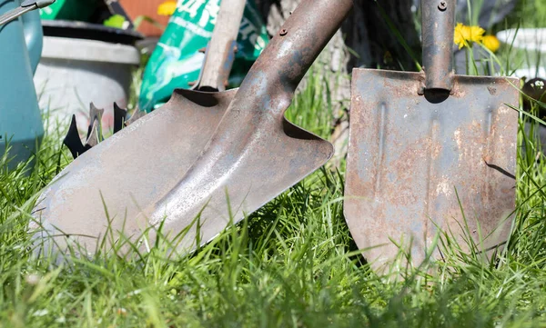 Gardening tools. Garden tools on the background of a garden in green grass. Summer work tool. Two shovels stacked in the garden outside. The concept of gardening tools