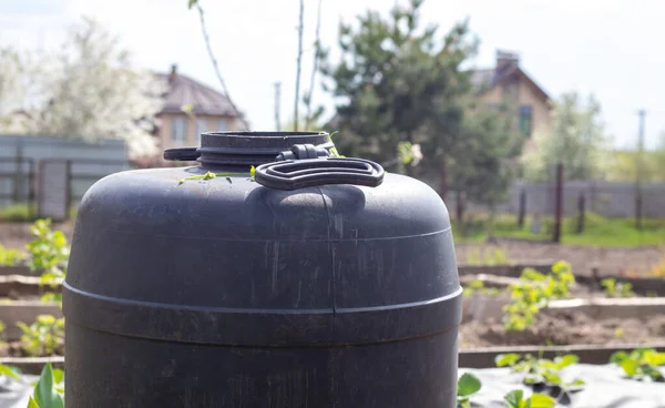 Large black plastic barrel with water in the summer garden. Rainwater tank in the garden, hot summer day. Barrels for watering the garden