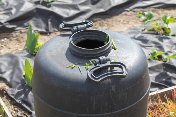 Large black plastic barrel with water in the summer garden. Rainwater tank in the garden, hot summer day. Barrels for watering the garden