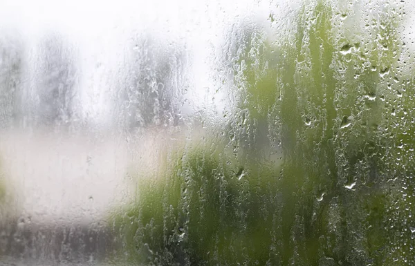 Heavy Rain Raindrops Window Glass Summer Day Selective Focus Shallow — 图库照片
