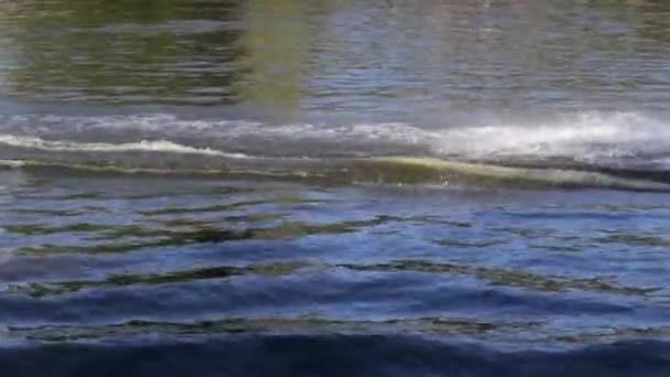 Wakeboarder Experimentado Hace Salto Atleta Durante Wakesurfing Lago Parque Cable — Vídeo de stock