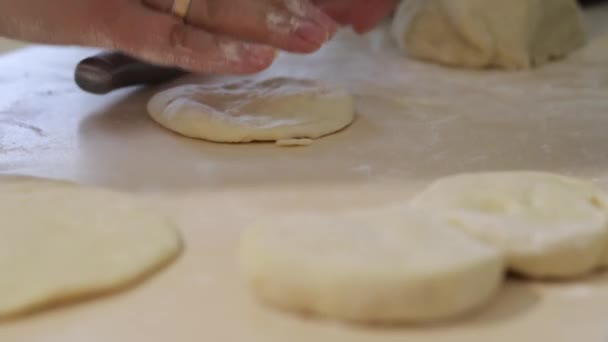 Woman Cooks Pies Home Cooking Baking Home Preparing Dough Baking — Stock Video