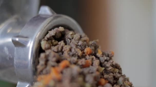 Eine Inkognito Frau Kocht Der Heimischen Küche Fleisch Hackfleisch Auf — Stockvideo