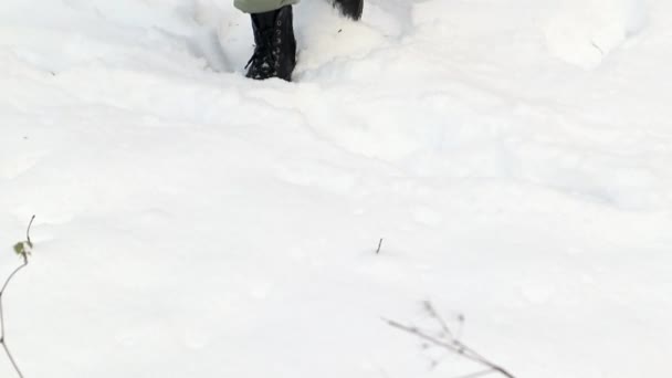 一个难以辨认的女人穿过冬雪覆盖的森林 公园里的无忧无虑的姑娘走过松林 在冬雪的阳光普照下探索森林 寒冷天气下的游客旅行 — 图库视频影像