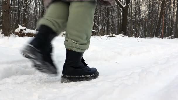 Jedna Nerozpoznatelná Žena Kráčí Zimním Zasněženým Lesem Bezstarostná Dívka Parku — Stock video