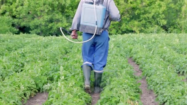 Agricultor Que Aplica Insecticidas Cultivo Patatas Piernas Hombre Equipo Protección — Vídeos de Stock