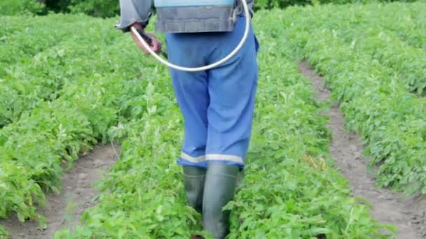 Agricultor Que Aplica Insecticidas Cultivo Patatas Piernas Hombre Equipo Protección — Vídeos de Stock