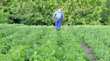 Patates mahsulüne böcek ilacı uygulayan bir çiftçi. Tarımda kimyasalların kullanımı. Mantar enfeksiyonlarına ve böceklere karşı savaş. Bir adam patates tarlasına el spreyiyle böcek ilacı sıkar..