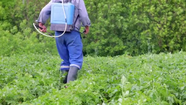 Patates Mahsulüne Böcek Ilacı Uygulayan Bir Çiftçi Tarımda Kimyasalların Kullanımı — Stok video